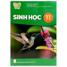Sinh Học 11
